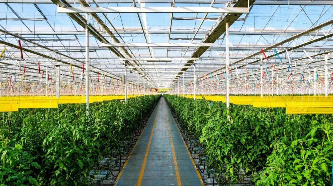 政策導(dǎo)向|首提1.4萬億斤糧食產(chǎn)量新目標,有何依據(jù),如何實現(xiàn)?_農(nóng)業(yè)_生