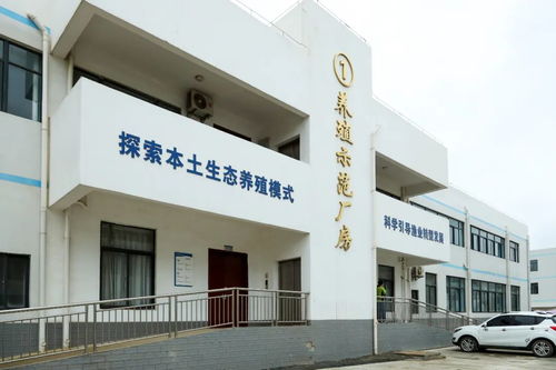 文昌馮家灣現代化漁業產業園 打造水產種業硅谷，讓水產住進“別墅”