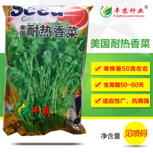 蔬菜香菜種子市場洞察 價格、供應商與種植前景