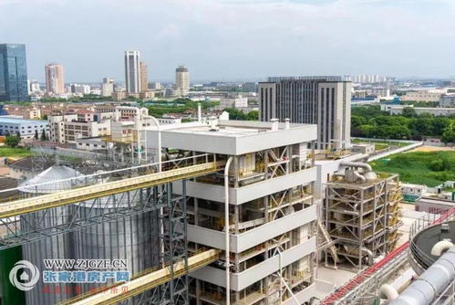 江海糧油張家港產(chǎn)業(yè)園二期榨油廠順利投產(chǎn)，年產(chǎn)96萬(wàn)噸助力種業(yè)與糧油產(chǎn)業(yè)鏈協(xié)同發(fā)展