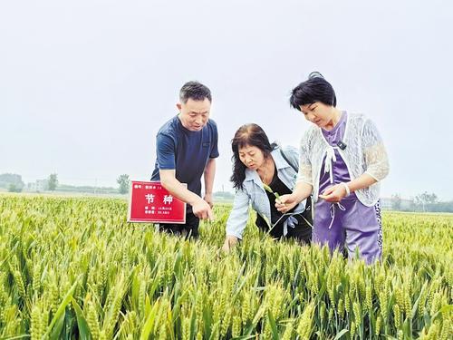 國(guó)家級(jí)展會(huì)賦能，洞見(jiàn)中國(guó)種業(yè)發(fā)展的新機(jī)遇