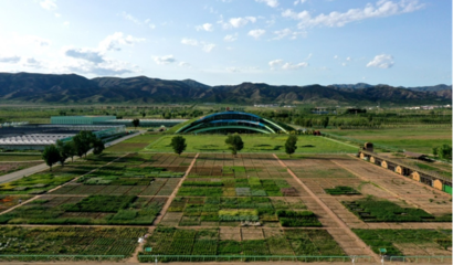 蒙草生態(tài)上市十周年 以種業(yè)為本，科研當(dāng)先，深耕生態(tài)修復(fù)的“中國(guó)草”